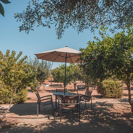 Hotel Castillo Ferrer Valle de Guadalupe Eksteriør bilde