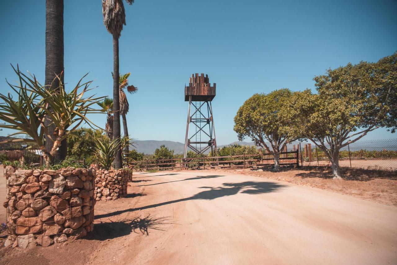 Hotel Castillo Ferrer Valle de Guadalupe Eksteriør bilde